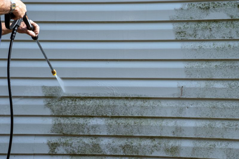 Cleaning and Restoring Siding